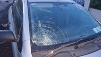 Gardaí investigate crash in Laois village