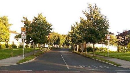 Serious safety concern exiting housing estate in Portlaoise