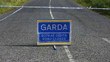 Man arrested by gardaí after fatal collision in Wexford