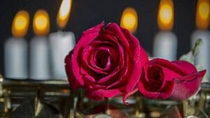 Death notice in Laois: George Thuillier – Ballinakill Death notice in Laois: George Thuillier – Ballinakill