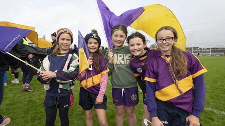 St. Brigid's go in search of All-Ireland Camogie final spot