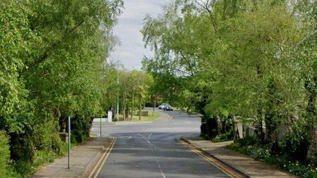 Trees and shrubs causing an obstruction to motorists in Laois housing estate