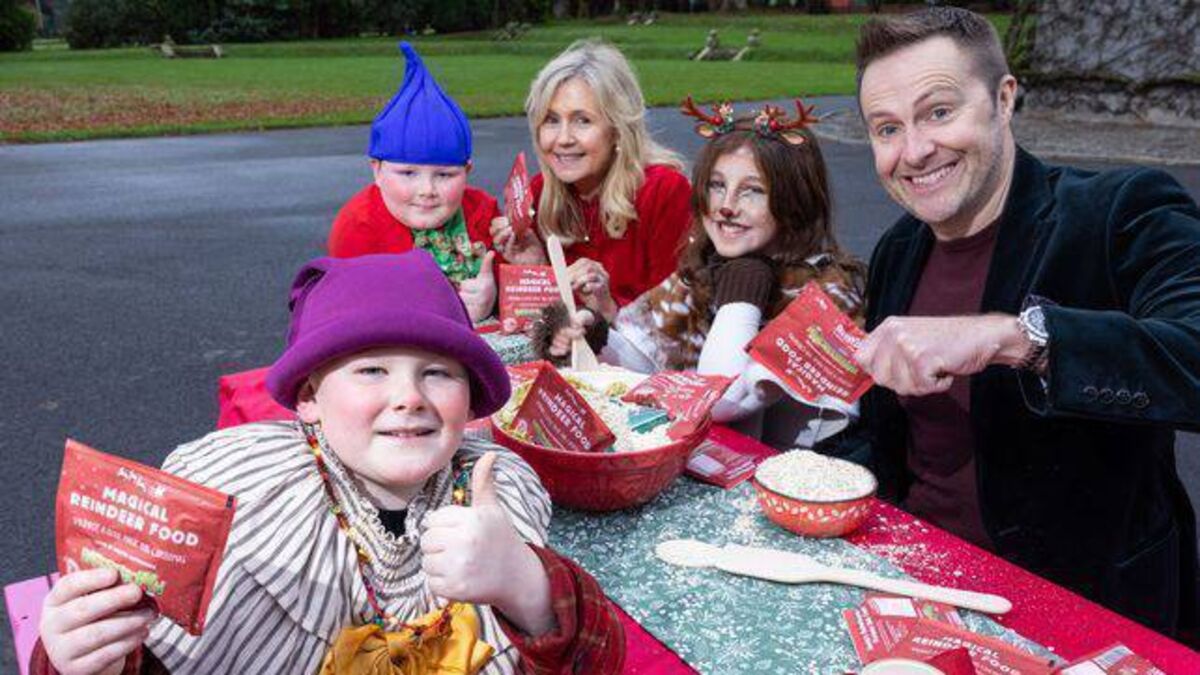 Laois boy launches Barretstown national Christmas appeal