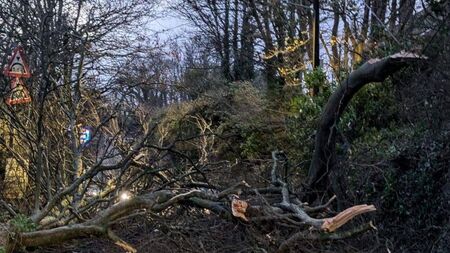 Laois update after Storm Darragh