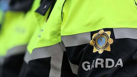 Number of gardaí set to reach 14,220 as nearly 170 new officers graduate