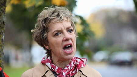 Labour party member at risk of expulsion over Bacik leak