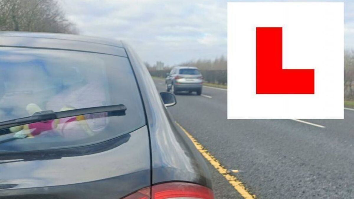 Laois gardaí catch learner speeding on cocaine