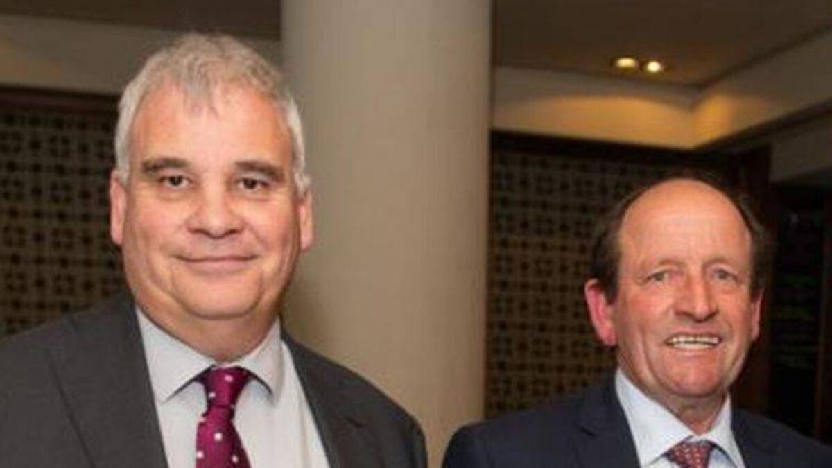 Buggy replaces Aird on Laois County Council