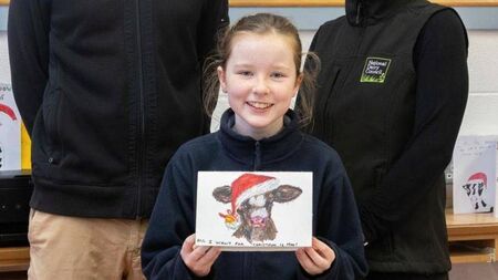 Laois girl wins national Christmas card contest