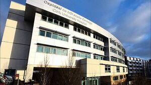 Man (70s) and woman (50s) seriously injured following collision in Co Cork