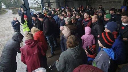 New Year’s Day Walk in Ballacolla