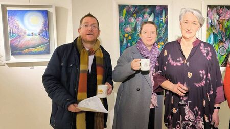Laois artist showcases her work for the first time in 18 years
