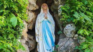 Portlaoise Group pilgrimage to Lourdes
