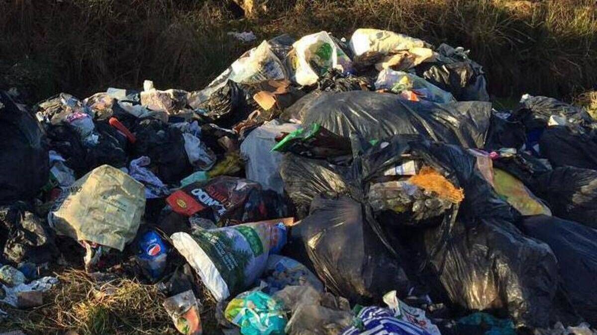 Locations for CCTV at Laois dumping blackspots to be selected by summer  