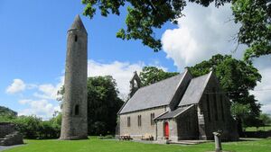 Visitor injured at Laois heritage site
