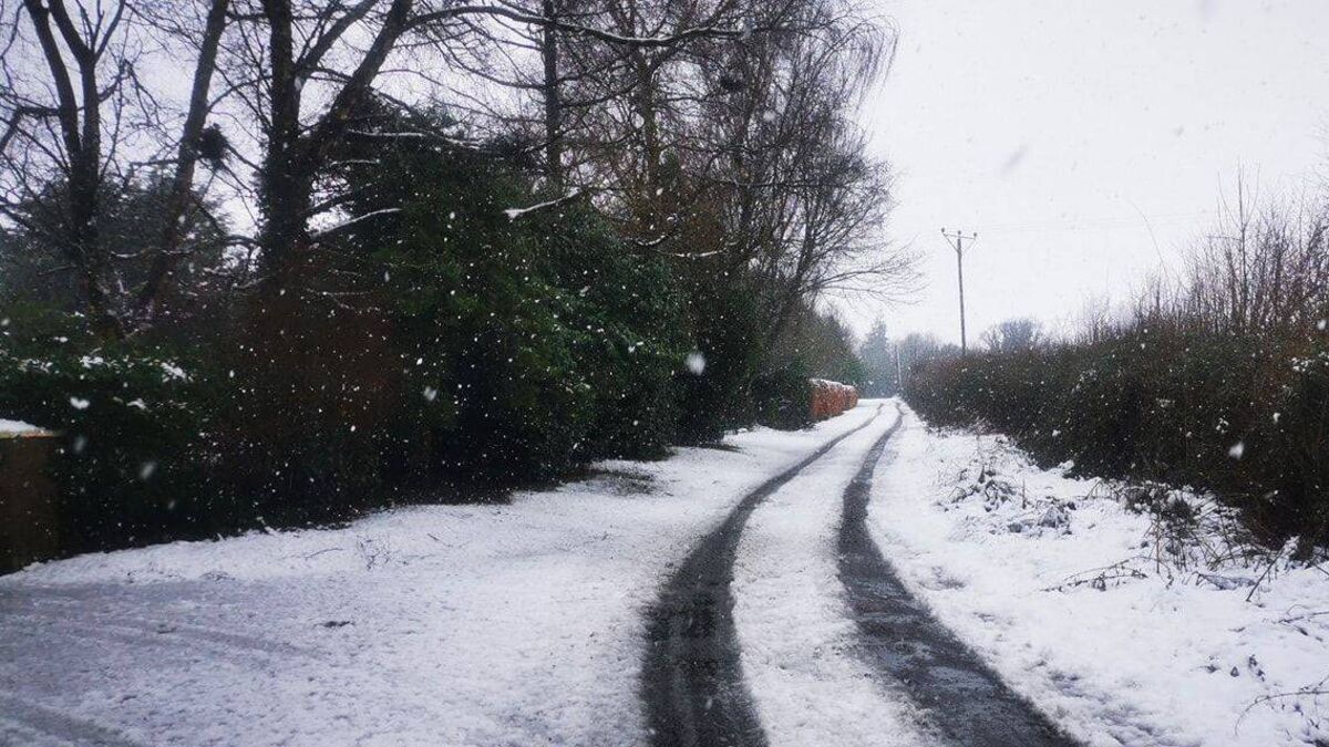 Laois schools to close as snow covers county