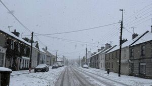 Hundreds of Laois homes suffer power cuts