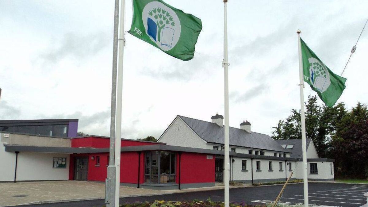 Appeal for pencil bollards at Laois school