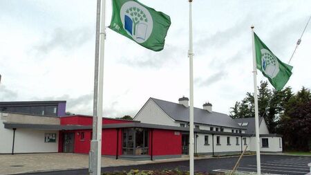 Appeal for pencil bollards at Laois school