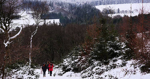 Thousands still without power advised to use hotel facilities during cold snap