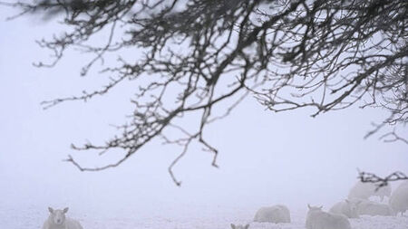 End of cold snap ‘in sight’ as orange weather warning comes into effect in 15 counties