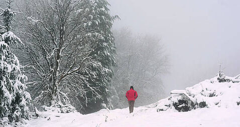 Temperatures reach close to -7 degrees overnight with yellow warning still in place