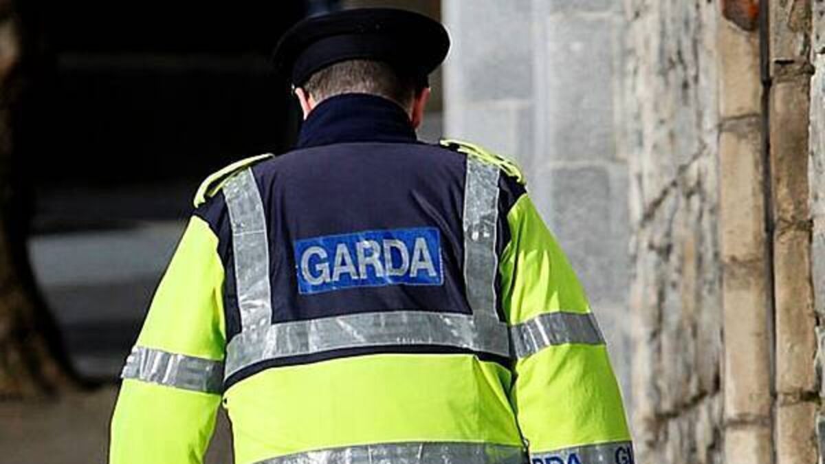 Hells Angels members pose with Conor McGregor as gardaí monitor meeting in Dublin