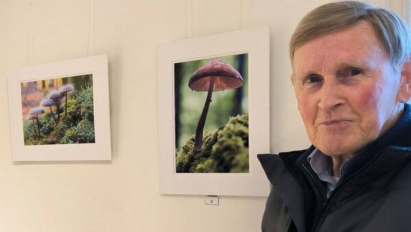 Laois camera club showcases stunning snaps for the month of January