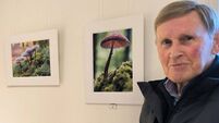 Laois camera club showcases stunning snaps for the month of January