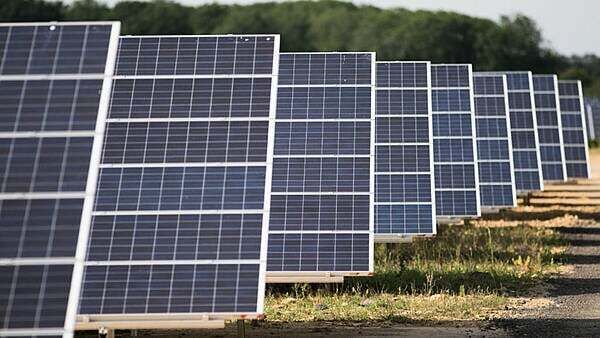 Badger concerns stall €141 million Kildare solar farm