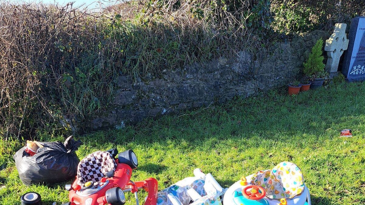 Dirty nappies dumped on babies' graves in Laois