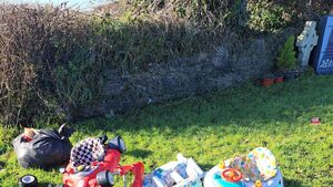 Dirty nappies dumped on babies' graves in Laois
