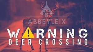 Deer struck by vehicle on busy Laois road