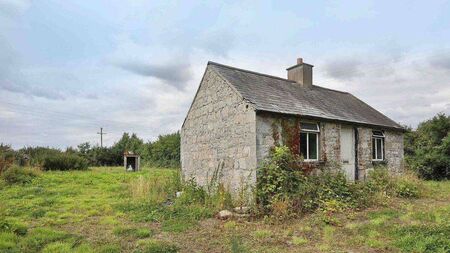 Room to improve in Laois countryside