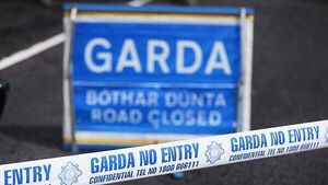 Two men arrested after firearms seized at Garda checkpoint in Tralee Two men arrested after firearms seized at Garda checkpoint in Tralee