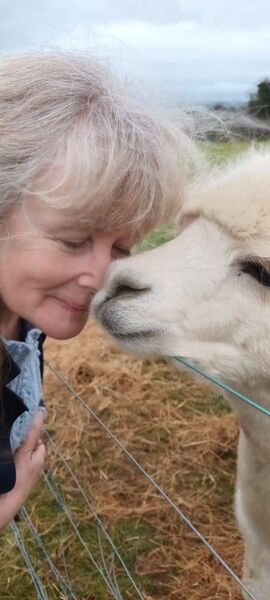 Author Caroline Cornelissen