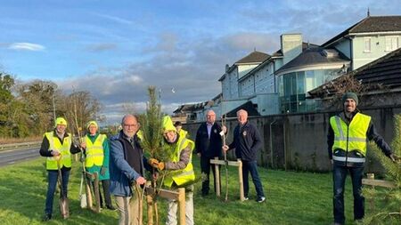 Fairgreen in Portlaoise lives up to its name