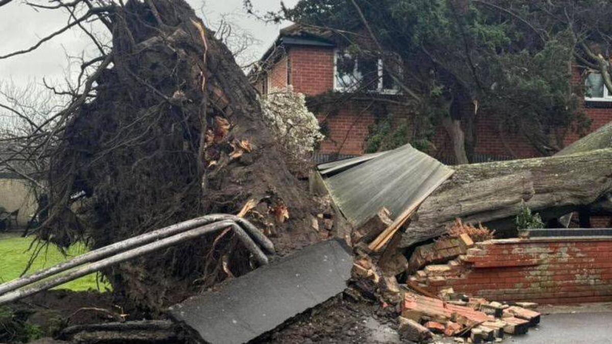 Schools to close as Laois gets RED storm warning