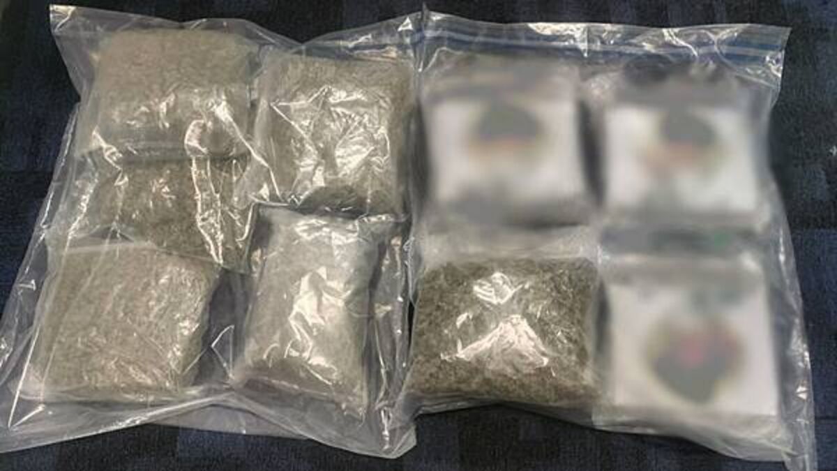 Man arrested after €200,000 worth of cannabis seized in Tipperary