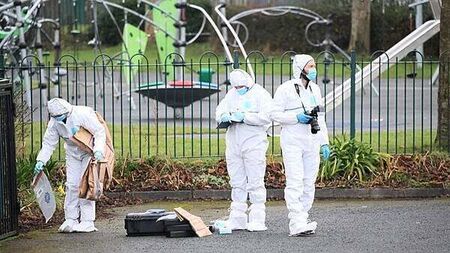 Seventh arrest made in connection with death of man in Bray