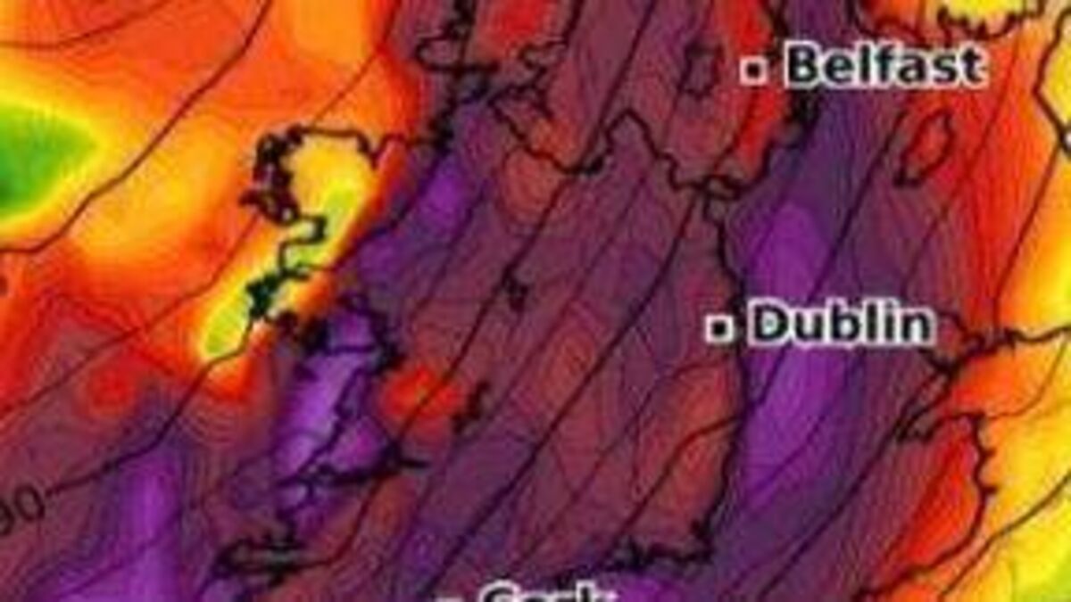 Storm Éowyn Update – Laois