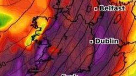 Storm Éowyn Update – Laois