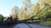 LATEST UPDATE: Laois Co Council issue Storm Éowyn update