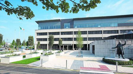 Laois Co Council gives the latest update on Storm Éowyn damage