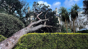 It will take days to assess all Storm Éowyn damage in Northern Ireland, say police