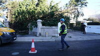 Technicians from England and France to help restore power in Ireland