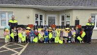 Abbeyleix kids had an arresting experience at local playschool