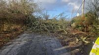 Clean-up continues as Laois recovers from devastating storm