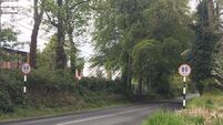 Speed limit reduction will come into effect in Laois in early February