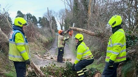 Clean-up continues as Laois recovers from devastating storm